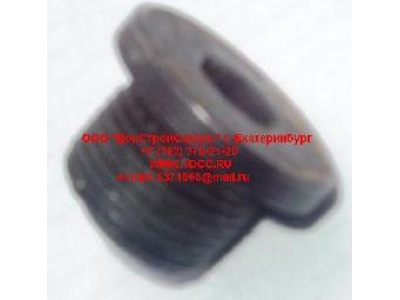 Пробка крышки бортового редуктора М22х1,5 H HOWO (ХОВО) 190003961309 фото 1 Брянск