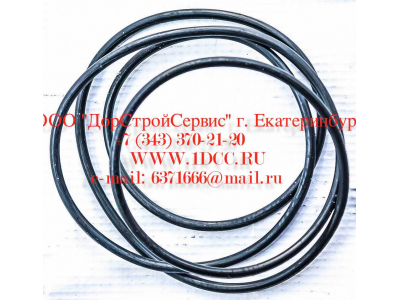 Кольцо уплотнительное ø338х3.55 гидромуфты ГТР CDM 833 Lonking CDM (СДМ) ø338х3.55 фото 1 Брянск
