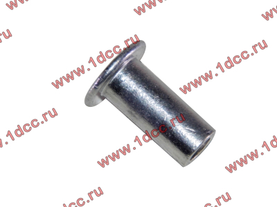 Заклепка алюминиевая 10х24 H2/H3 HOWO (ХОВО) 189000340068 AL фото 1 Брянск