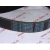 Ремень 10PK1282 D12 А7 HOWO A7 VG1246060082 фото 2 Брянск