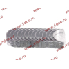 Вкладыши коренные стандарт +0.00 (14шт) LONGGONG CDM833 Lonking CDM (СДМ) 13034908/13034916 фото 2 Брянск