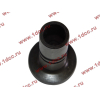 Стакан штанги-толкателя двигатель TD226B6G LONGGONG Lonking CDM (СДМ) 12273399 фото 4 Брянск